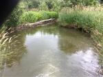 Culvert Crossing, Cross Lake Twp, Maine