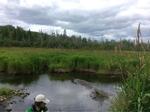 Culvert Crossing, Cross Lake Twp, Maine