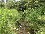 Culvert Crossing, Madawaska, Maine