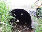 Culvert Crossing, Cross Lake Twp, Maine