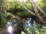 Culvert Crossing, Allagash, Maine