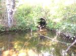 Culvert Crossing, Allagash, Maine
