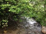 Culvert Crossing, Madawaska, Maine