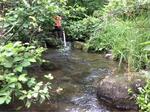 Culvert Crossing, Madawaska, Maine