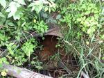 Multiple Culvert Crossing, Fort Kent, Maine