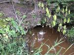 Multiple Culvert Crossing, Fort Kent, Maine