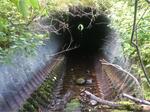 Culvert Crossing, Fort Kent, Maine
