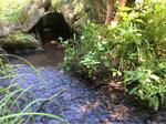 Culvert Crossing, Madawaska, Maine