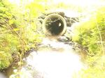 Culvert Crossing, Allagash, Maine