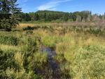 Culvert Crossing, Caswell, Maine