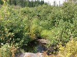 Multiple Culvert Crossing, T12 R16 WELS, Maine