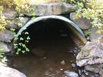 Culvert Crossing, T12 R16 WELS, Maine