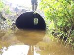 Culvert Crossing, Hamlin, Maine