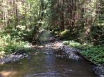 Culvert Crossing, Hamlin, Maine