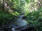 Culvert Crossing, Hamlin, Maine