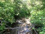 Culvert Crossing, Hamlin, Maine