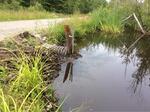 Culvert Crossing, Madawaska, Maine