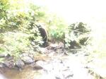 Multiple Culvert Crossing, Eagle Lake, Maine