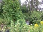 Multiple Culvert Crossing, Eagle Lake, Maine