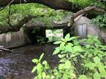 Culvert Crossing, Frenchville, Maine