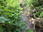 Culvert Crossing, Frenchville, Maine