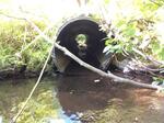 Culvert Crossing, Wallagrass, Maine
