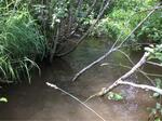Multiple Culvert Crossing, Saint Agatha, Maine