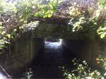 Culvert Crossing, Wallagrass, Maine