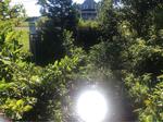 Culvert Crossing, Wallagrass, Maine