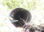 Culvert Crossing, Eagle Lake, Maine