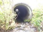 Culvert Crossing, Eagle Lake, Maine