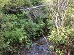 Culvert Crossing, Eagle Lake, Maine