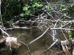Multiple Culvert Crossing, Eagle Lake, Maine