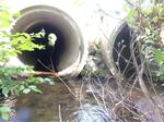 Multiple Culvert Crossing, Eagle Lake, Maine