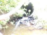 Multiple Culvert Crossing, Eagle Lake, Maine