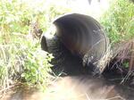 Culvert Crossing, New Canada, Maine