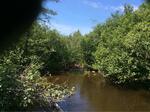 Culvert Crossing, Frenchville, Maine