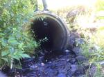 Culvert Crossing, Wallagrass, Maine