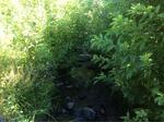 Culvert Crossing, Wallagrass, Maine