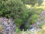 Culvert Crossing, Fort Kent, Maine