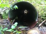 Culvert Crossing, Saint Francis, Maine
