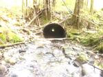Culvert Crossing, Allagash, Maine