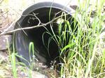 Multiple Culvert Crossing, Madawaska, Maine