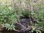 Culvert Crossing, Portage Lake, Maine