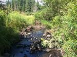 Culvert Crossing, Cyr Plt, Maine