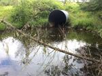 Culvert Crossing, Madawaska, Maine