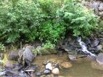Multiple Culvert Crossing, Saint Agatha, Maine