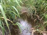 Multiple Culvert Crossing, Saint Agatha, Maine