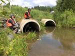 Multiple Culvert Crossing, Madawaska, Maine