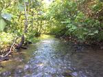 Culvert Crossing, Madawaska, Maine